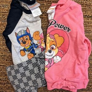 Paw Patrol lot size 2t